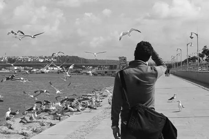 mlamoudan's profile banner image