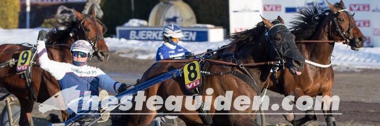 Morten A. Pedersen banner