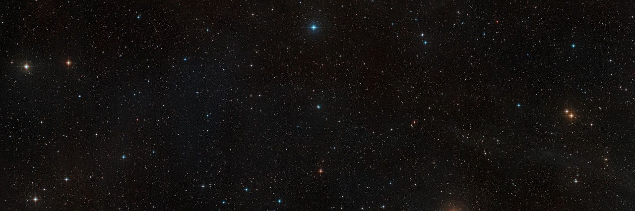 marrulopez's profile banner image