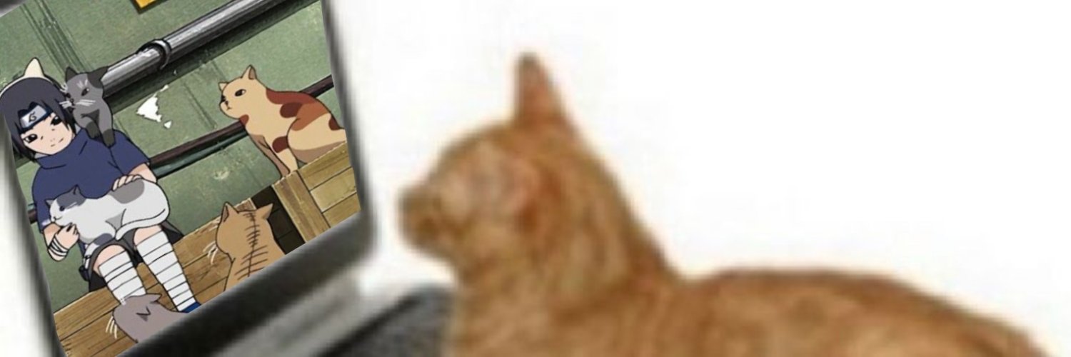𝓒 banner