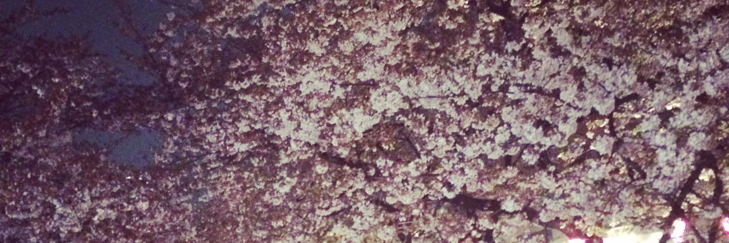 c_3no's profile banner image