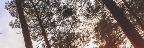rpguoca2's profile banner image