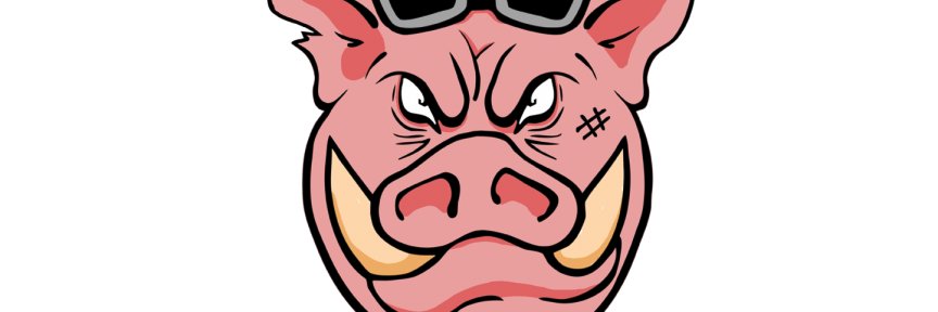 BaconTrolll's profile banner image