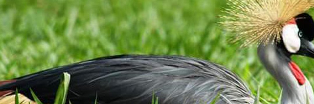 mugahbashir's profile banner image