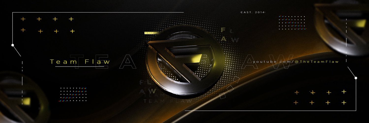 Team Flaw Profile Banner