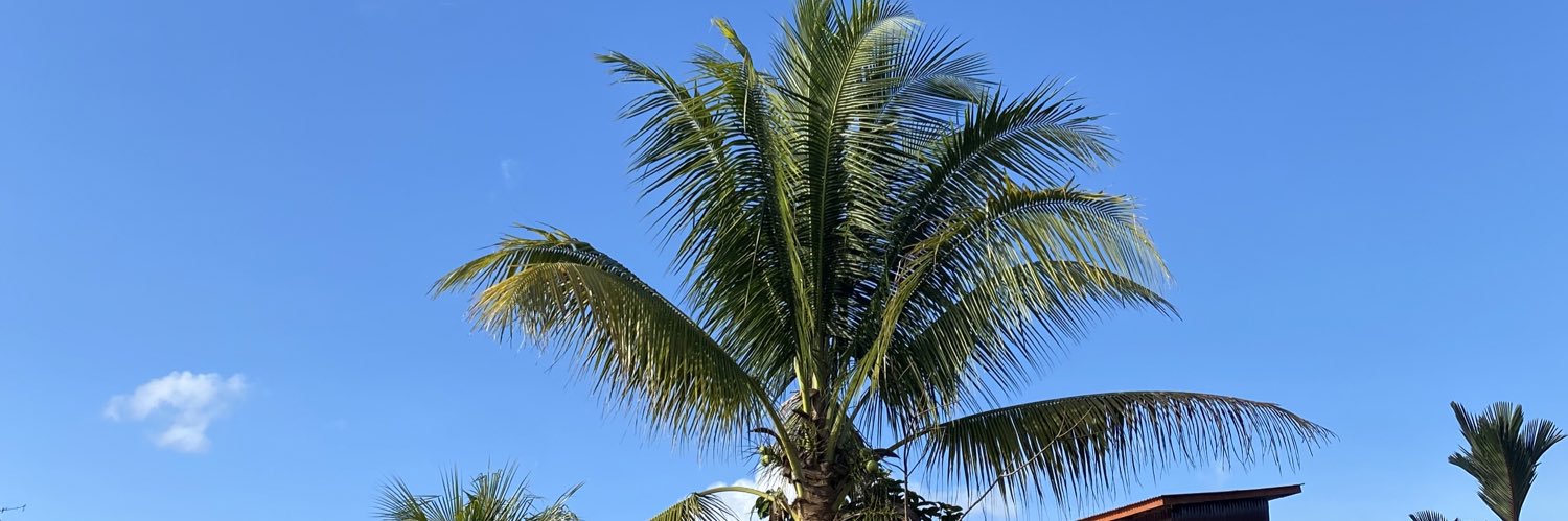metusalah_'s profile banner image