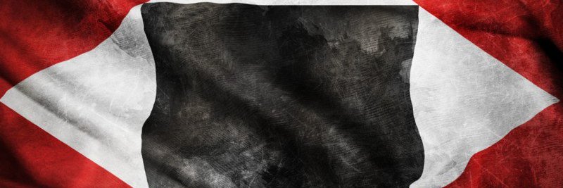 Palomino Vergara 🇻🇪 banner
