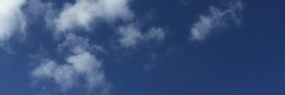 AngelaADunne's profile banner image