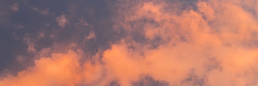 AngelWintercorn's profile banner image