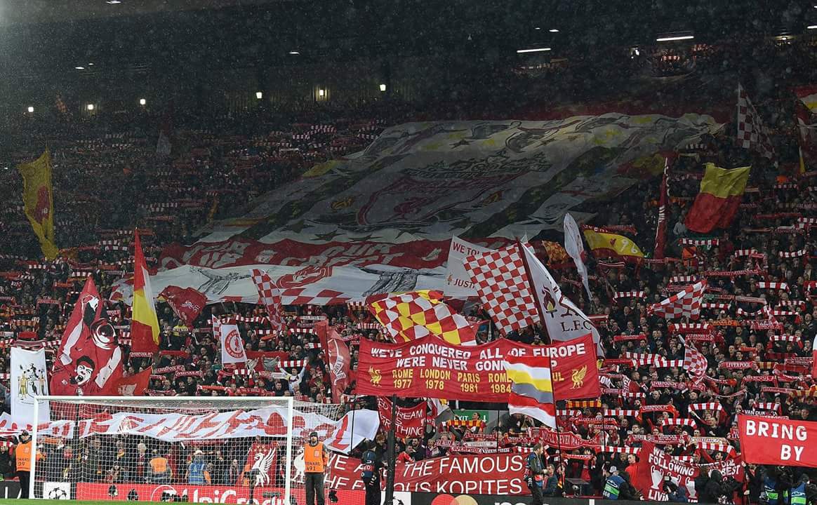 raneemsolimann's profile banner image