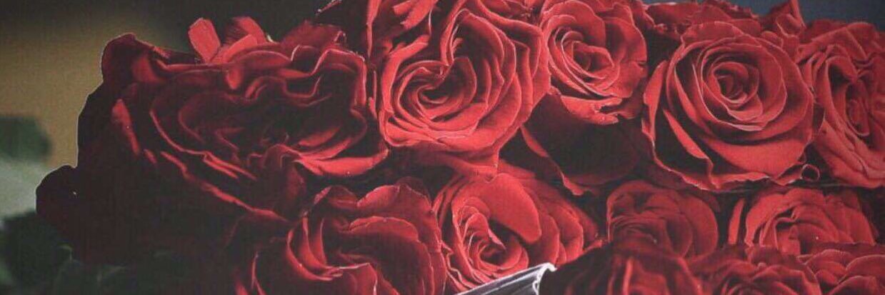 مجرد حروف  ➰ banner