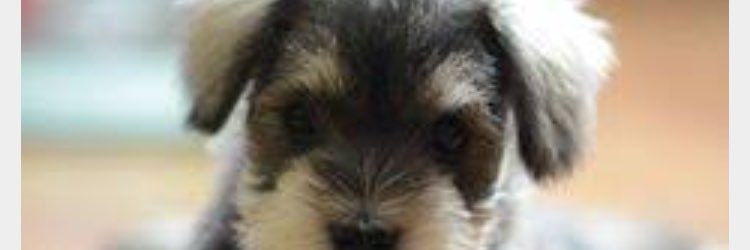 Millymoo_min's profile banner image