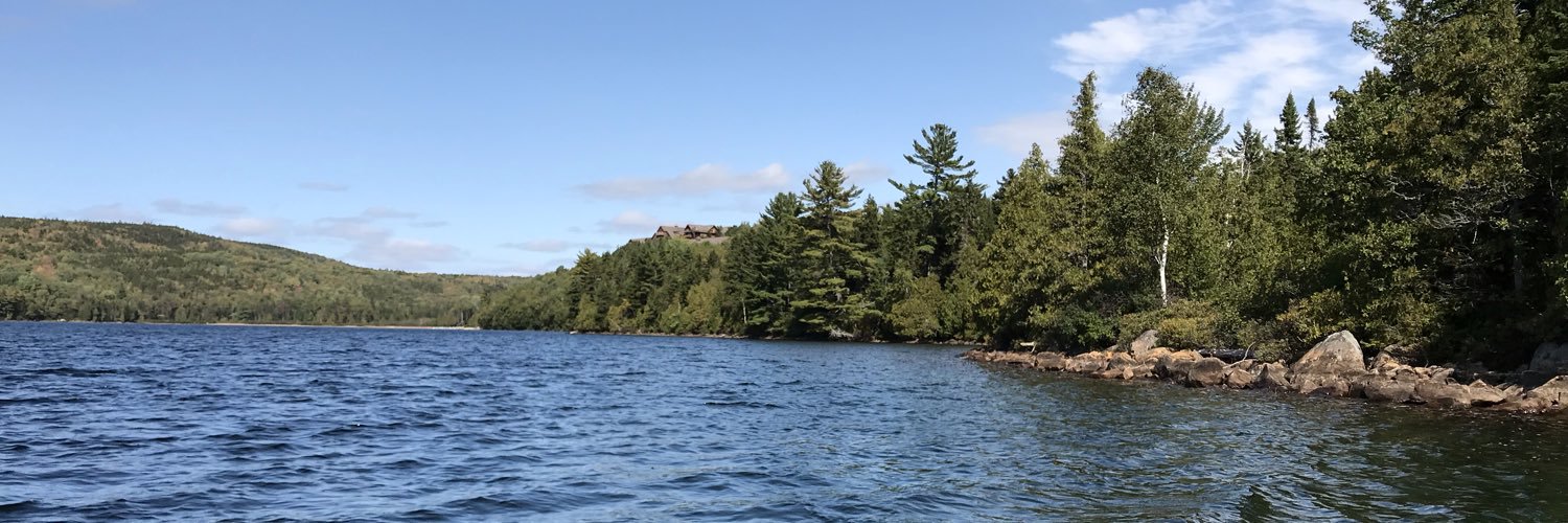 P. Daniel McNeely banner