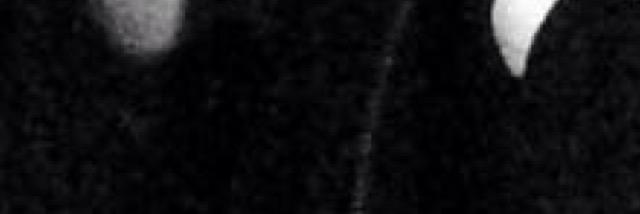 DocteurEnzo's profile banner image