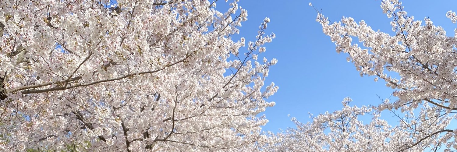 ogitamaaaa's profile banner image
