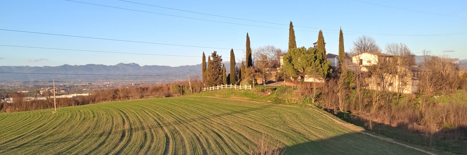 Albert Estrada-Rius banner