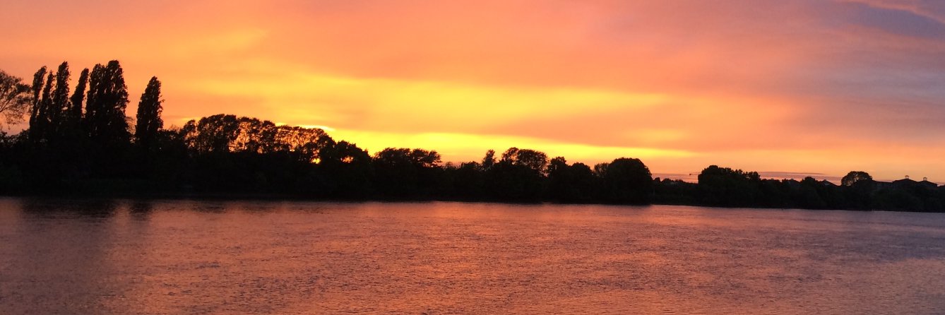 Neil Stillman banner