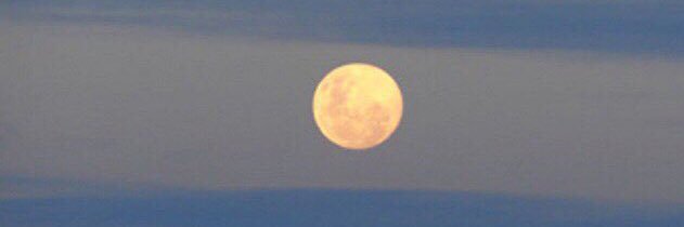 Argentina será grande y próspera nuevamente 💪🏻 banner