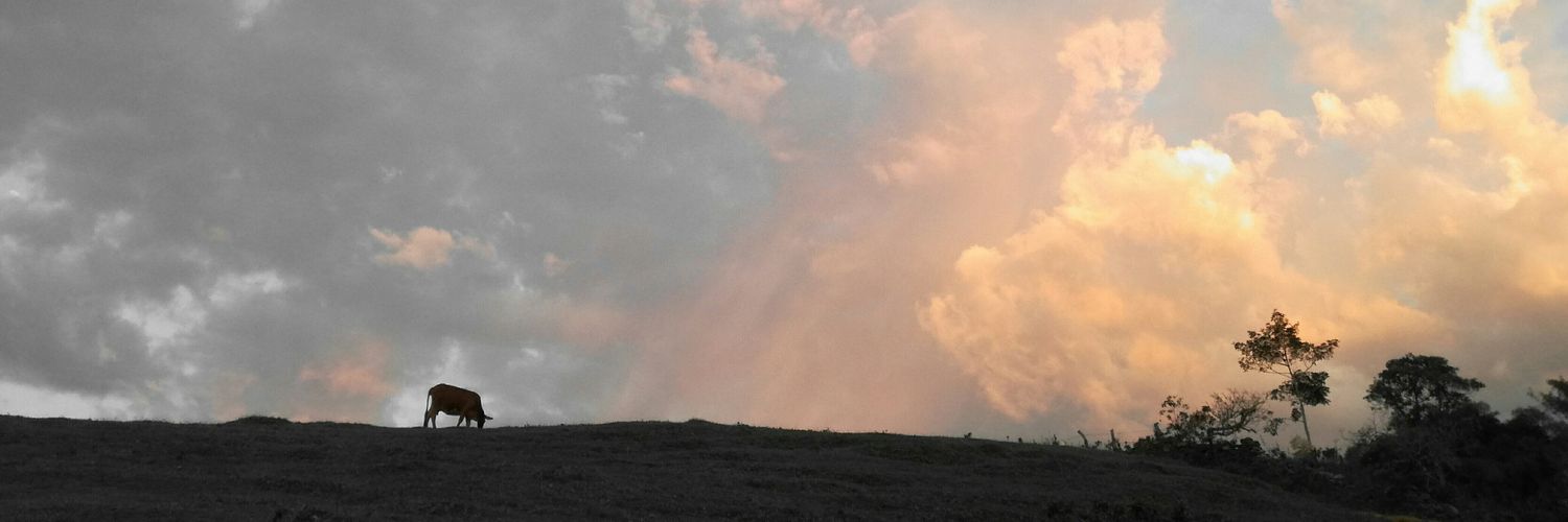 UnTalCamil0's profile banner image