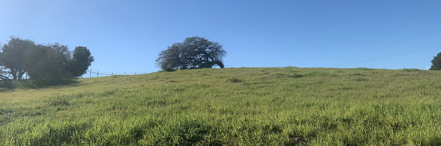 janiewise's profile banner image