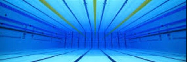 NJ Swimming banner