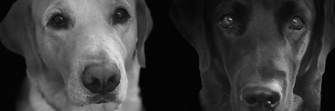 alma_ctd's profile banner image
