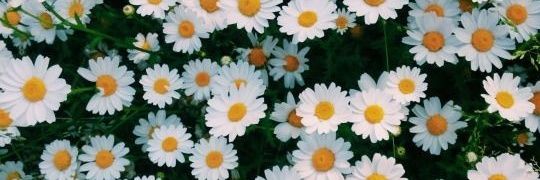 ndanda29_'s profile banner image