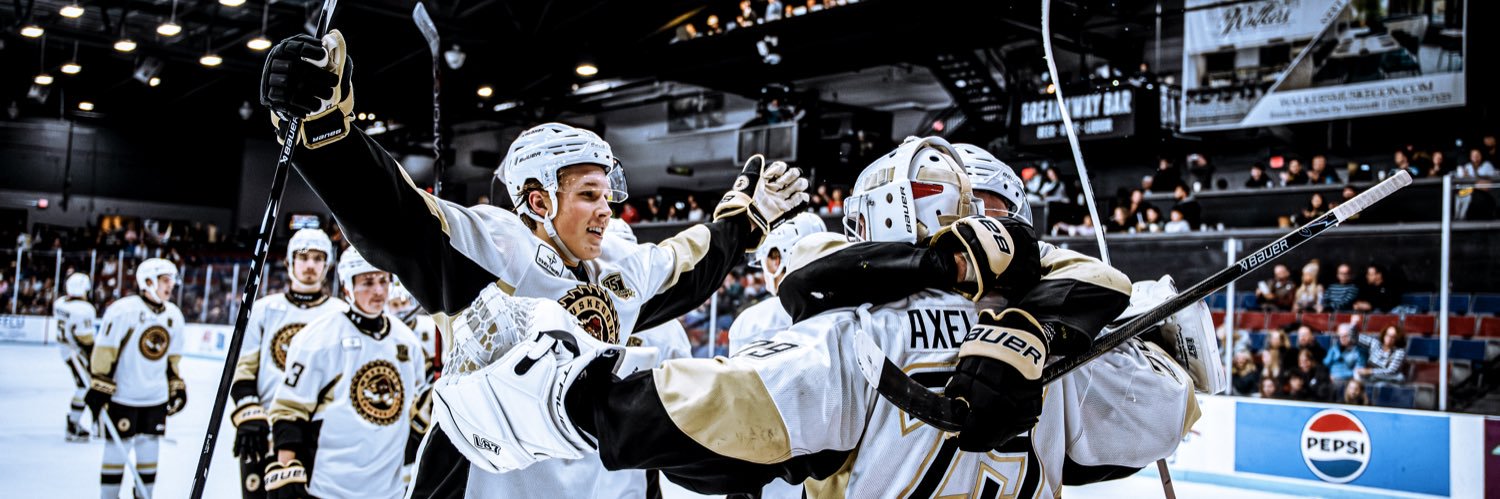 Muskegon Lumberjacks banner