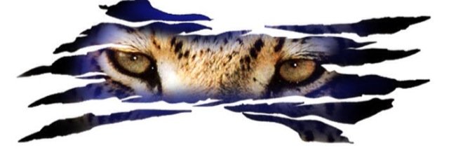 AdamsonHoops's profile banner image