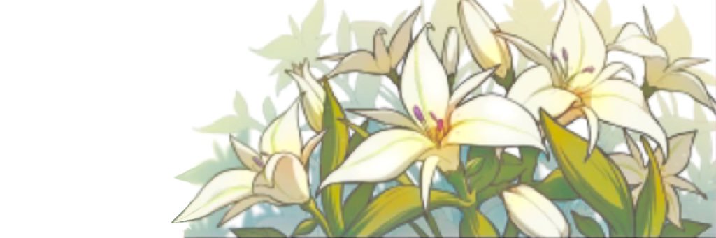 InnMir's profile banner image