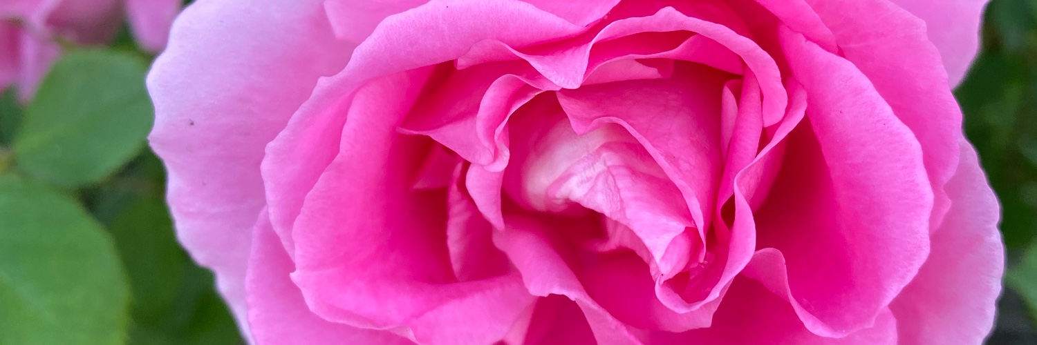 thecodingbarbie's profile banner image