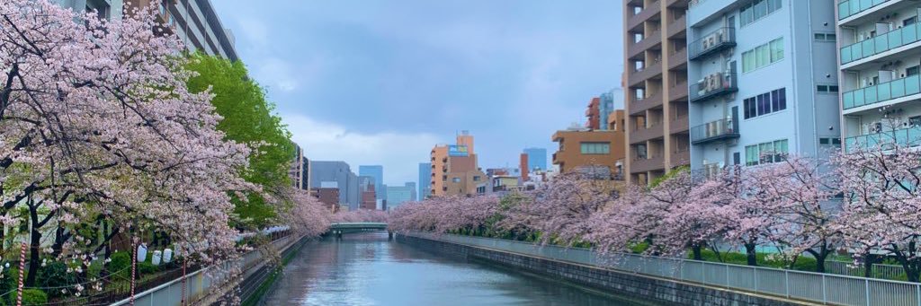 ぺんぎん🐧 banner