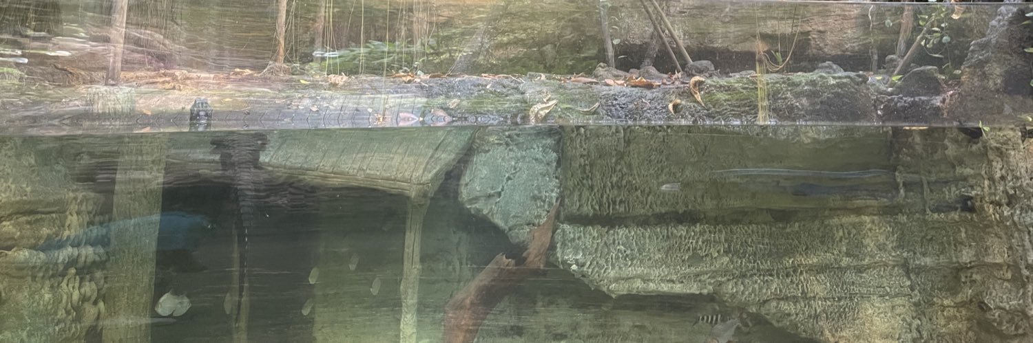 Dr Rebin Shwan banner