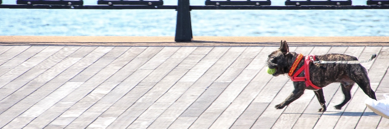 69Arrow's profile banner image