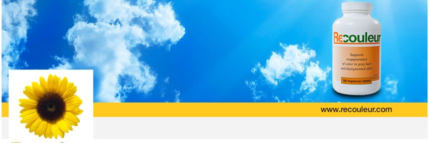 Recouleur's profile banner image