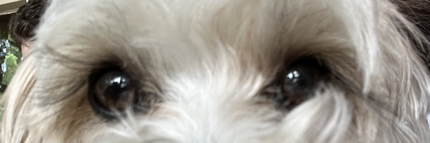 Mickaylamurph's profile banner image
