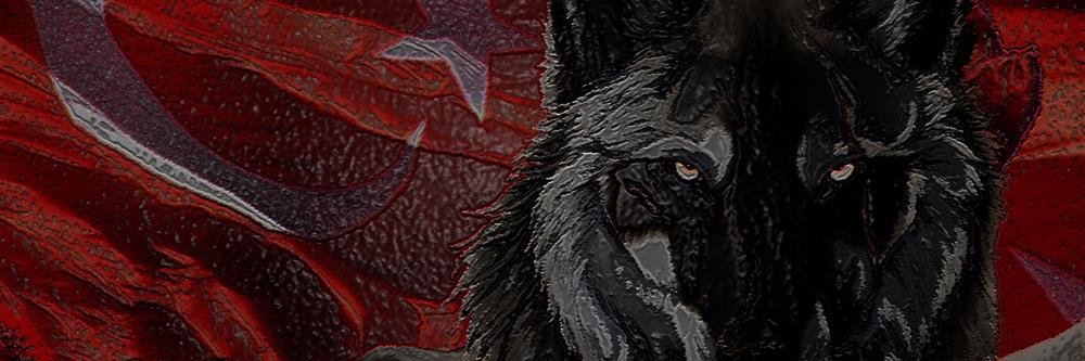 GoktugBeg's profile banner image