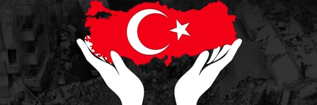 NigDelisi's profile banner image
