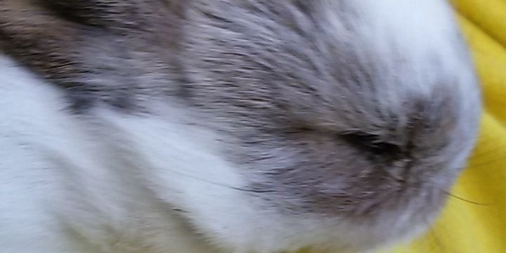 SamiraHeizmann's profile banner image