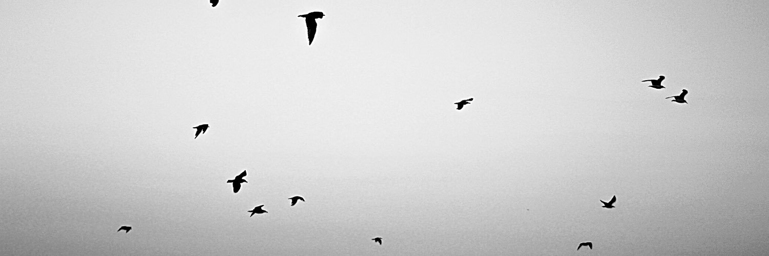 n1c6c8's profile banner image