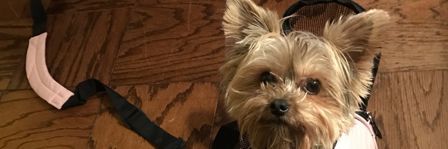 Csyb0rg's profile banner image