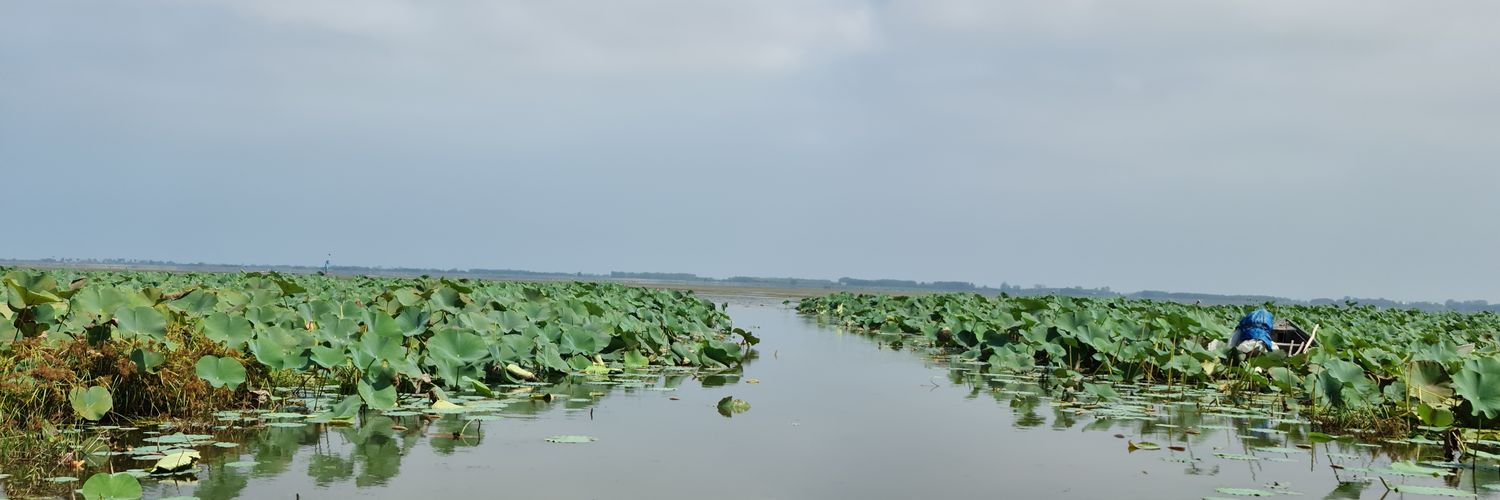 بهنام صمدی's banner