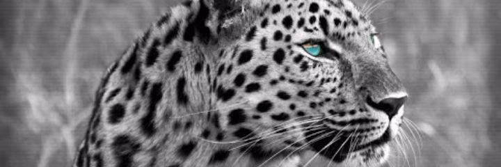 michstefy's profile banner image