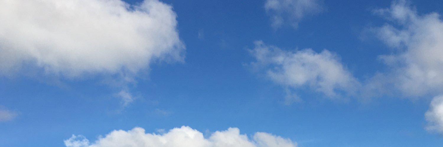 vwwyys's profile banner image