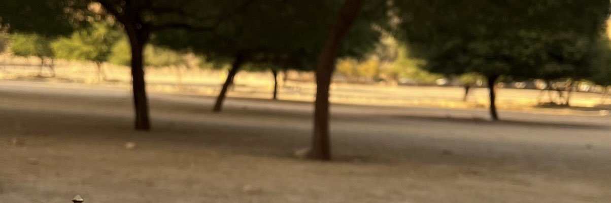 الشاعره مها✍🏻💙 banner