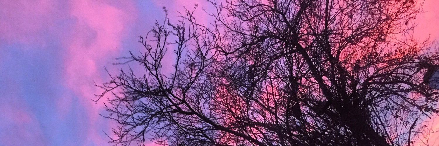 finstar7's profile banner image
