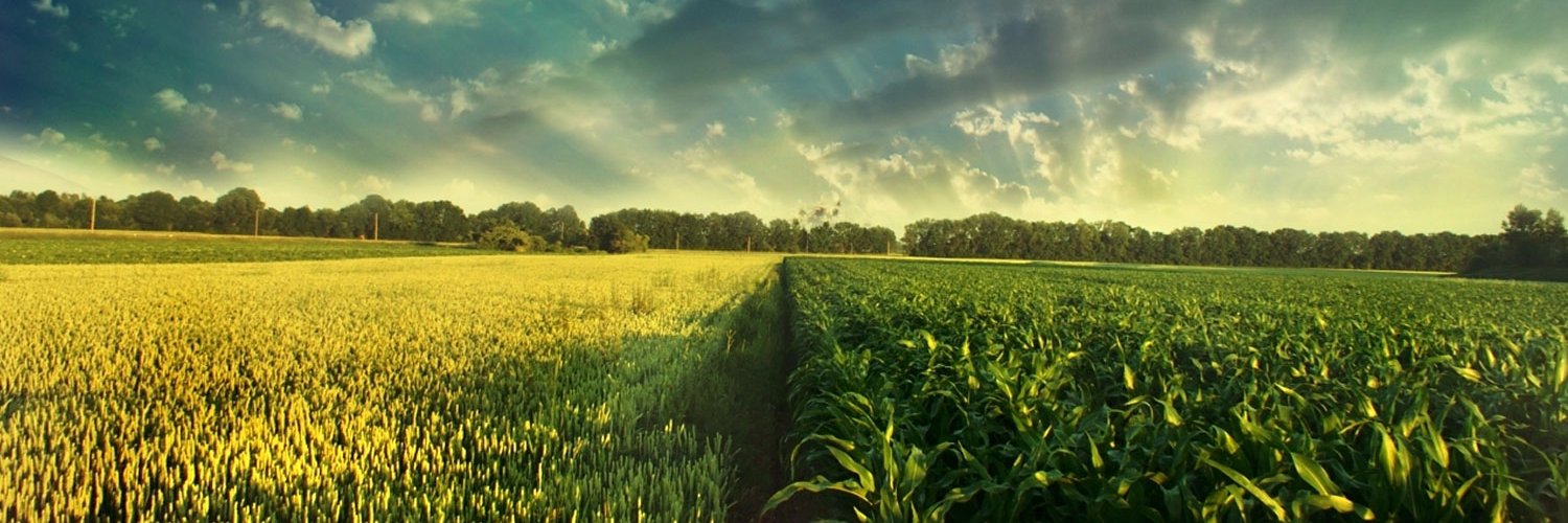 FertilizerDaily's profile banner image