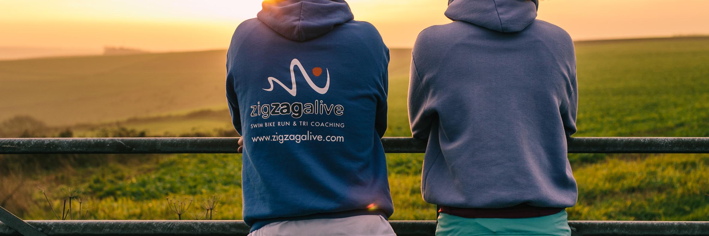 ZigZag Alive banner
