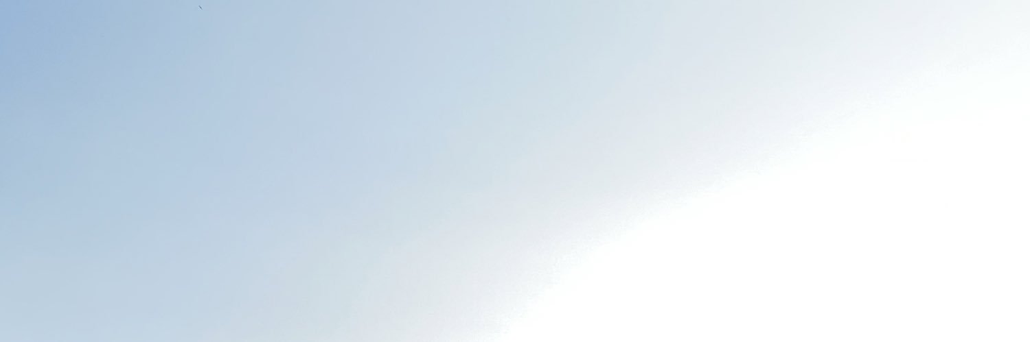 Wyn banner