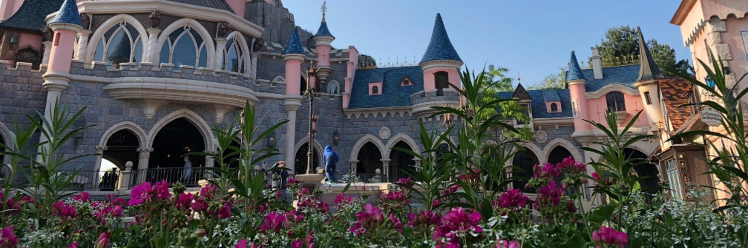 DisneylandTimes's profile banner image